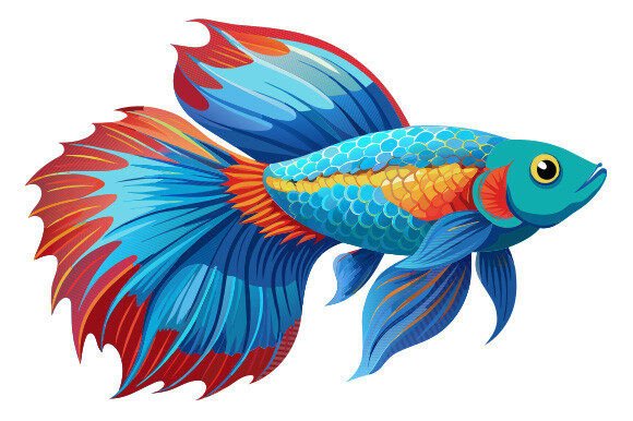 Betta Fish Vector Graphics for Print Templates