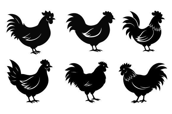 Black Silhouette Chicken Vector Design Graphics for Print Templates