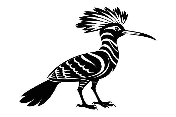 Black Silhouette Hoopoe Bird Vector Graphics for Print Templates