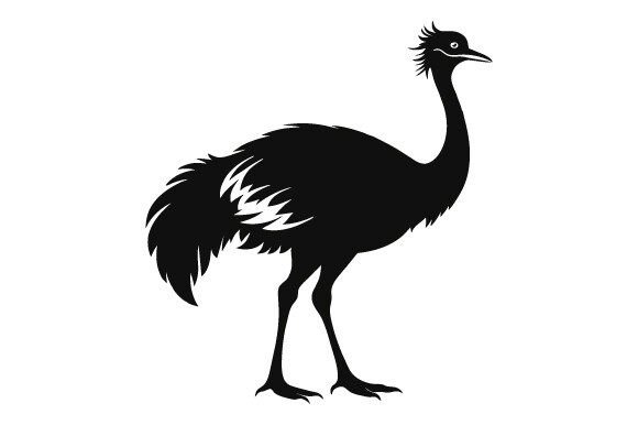 Cassowary Bird Black Silhouette Vector