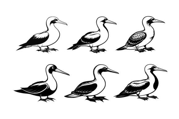 Gannet Outline Silhouette Vector Bundle for Print Templates