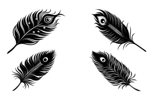 Peacock Feather Vector Design Graphics for Print Templates