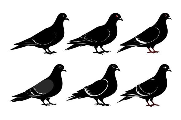 Pigeon Black Silhouette Vector Bundle Graphics for Print Templates