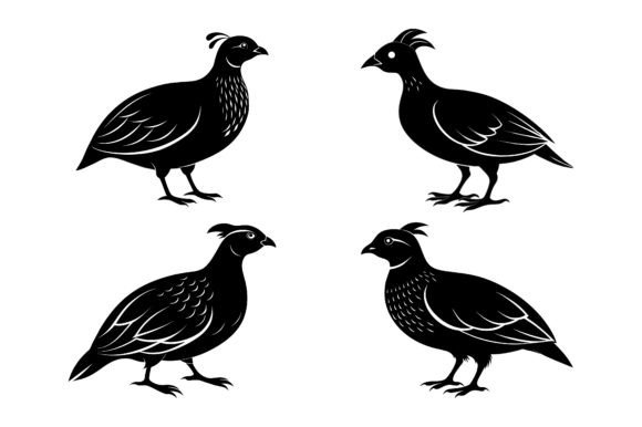 Quail Black Silhouette Vector Design Graphics for Print Templates