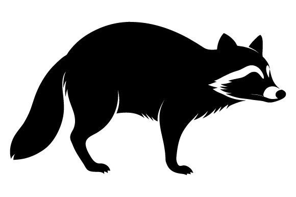 Raccoon Black Silhouette Side View Graphics