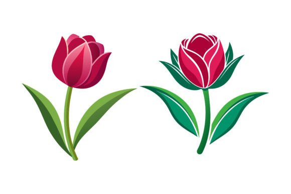 Tulip Flower Vector Set Graphics for Print Templates