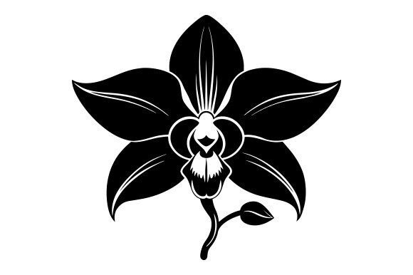 Venezuela Orchid Black Silhouette Graphics for Print Templates