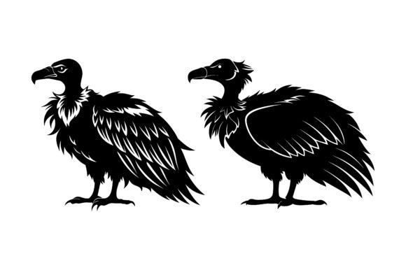 Vulture Black Silhouette
